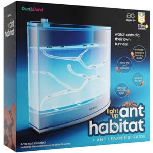 ant habitat box