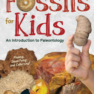 fossils for kids book