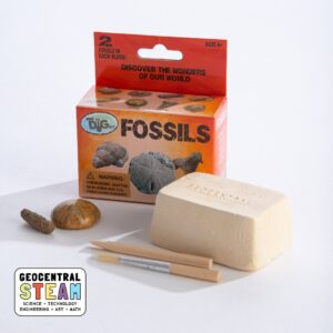 fossil dig kit